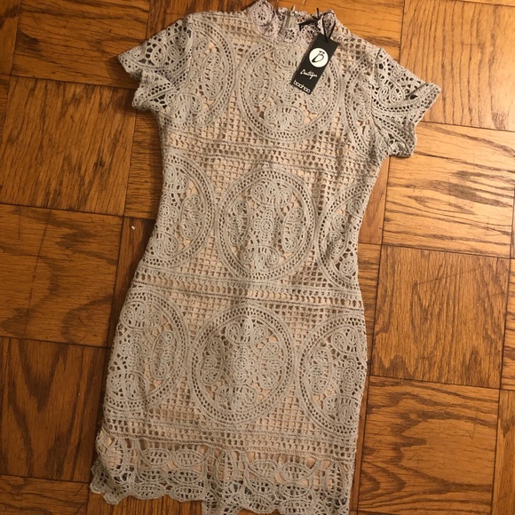 boutique eyelash lace bodycon dress